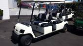 4 Seater Passenger Golf Car * Rental *