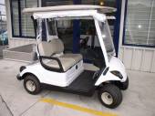 Yamaha G29 