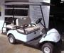 Yamaha "The Drive" 4 Passenger Vehicle